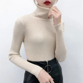 Blusa de Malha Preta Slin Gola Alta